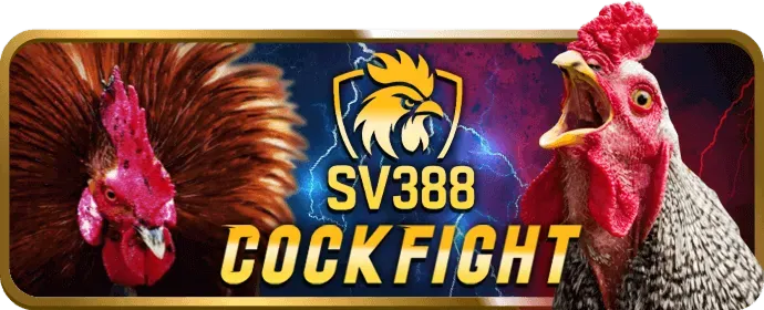Cá cược tennis gamebet